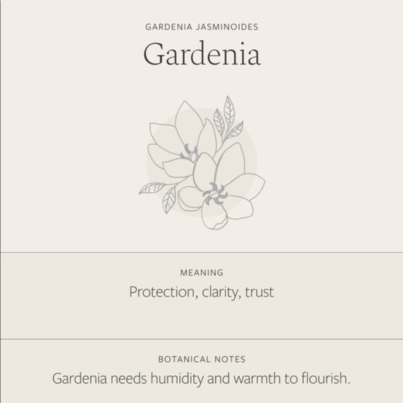 Gardenia Flower Plant Pendant Boho Indie Necklace - Picture 7 of 16